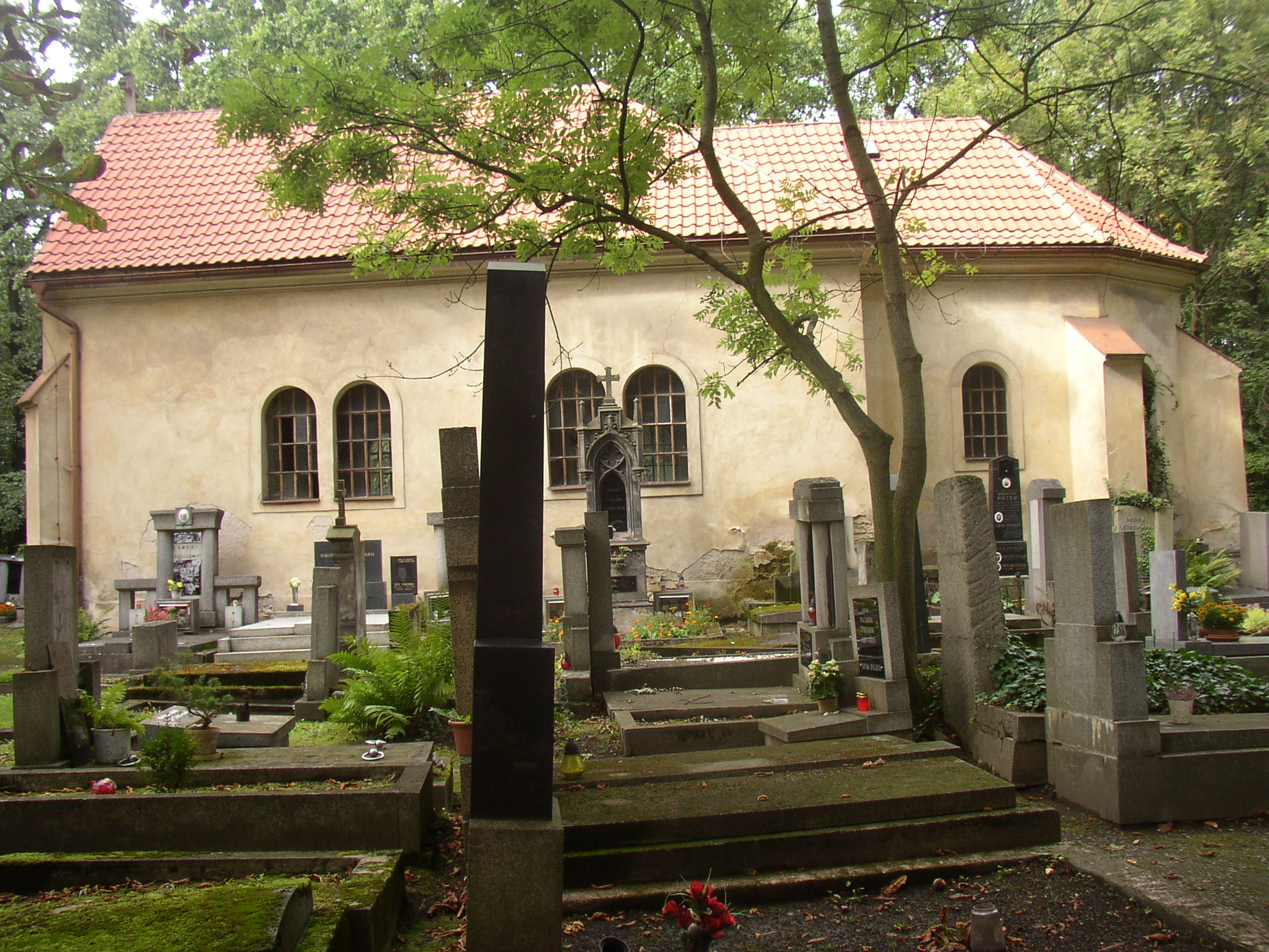 Obrázek #9 z 10