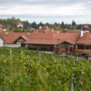 Vinice Salabka v Tróji - Vinice a restaurace Salabka