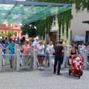 Zvířata v ZOO Praha si pochutnají na vánočních stromcích - ZOO Praha vchod 1
