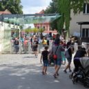 Zvířata v ZOO Praha si pochutnají na vánočních stromcích - ZOO Praha vchod 2