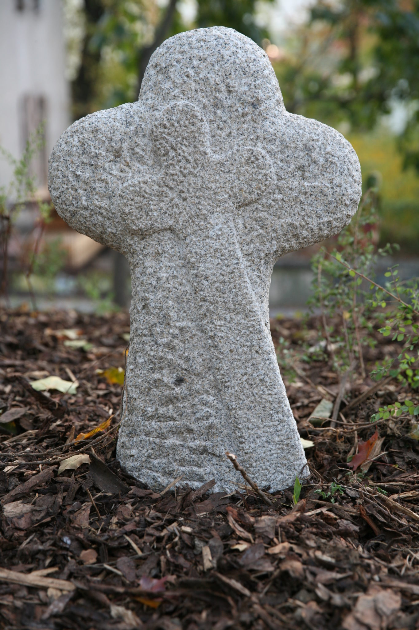 Obrázek #6 z 6