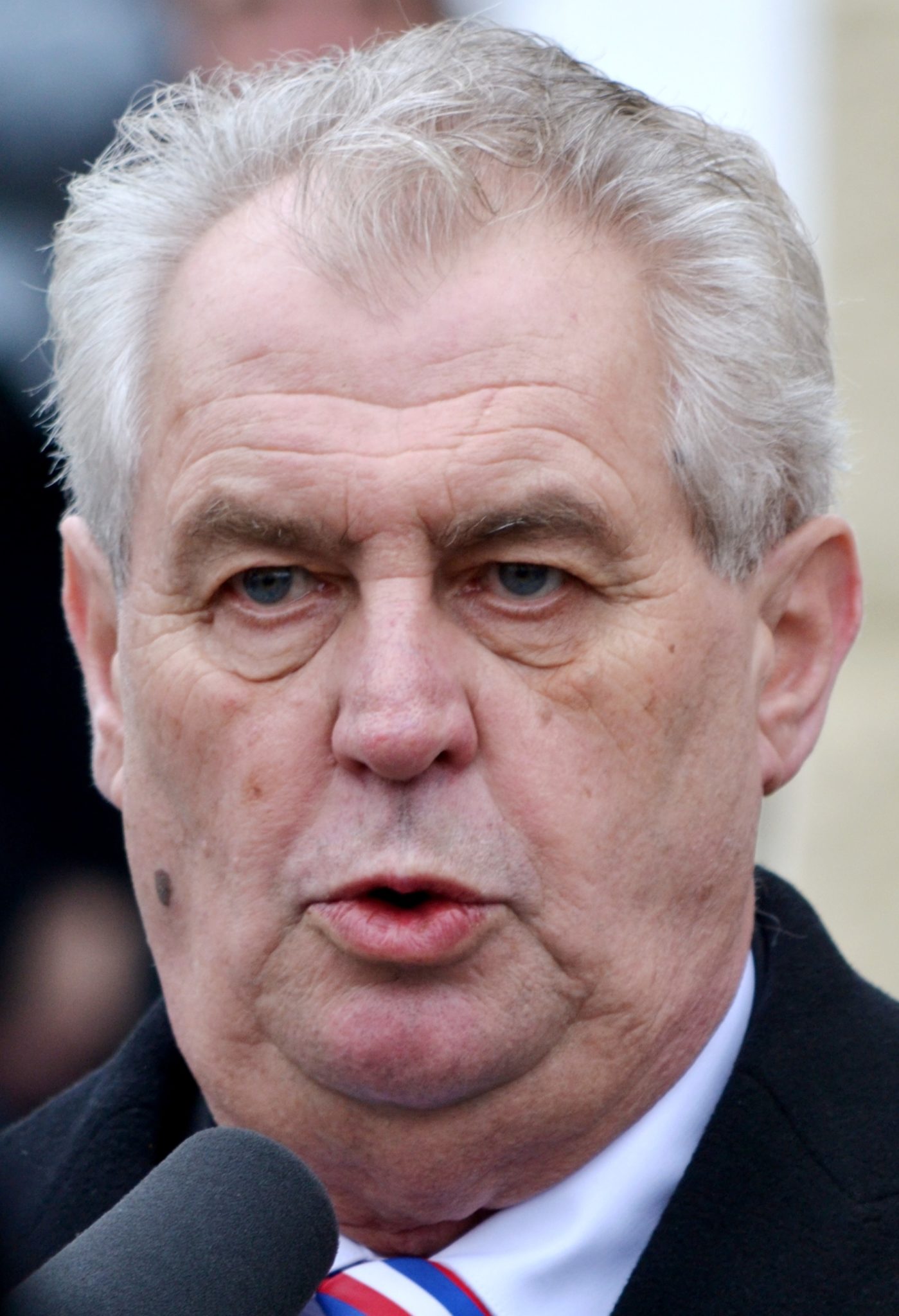 Obrázek #9 z 9