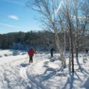 Běžkování v Brdech - acadia-national-park-80347_960_720