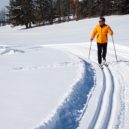 Běžkování v Brdech - cross-country-skiing-624253_960_720