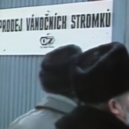 Před 36 lety bylo v Praze málo vánočních stromků a mnoho lidí ve frontách. Kde soudruzi udělali chybu? - vánoce 1981