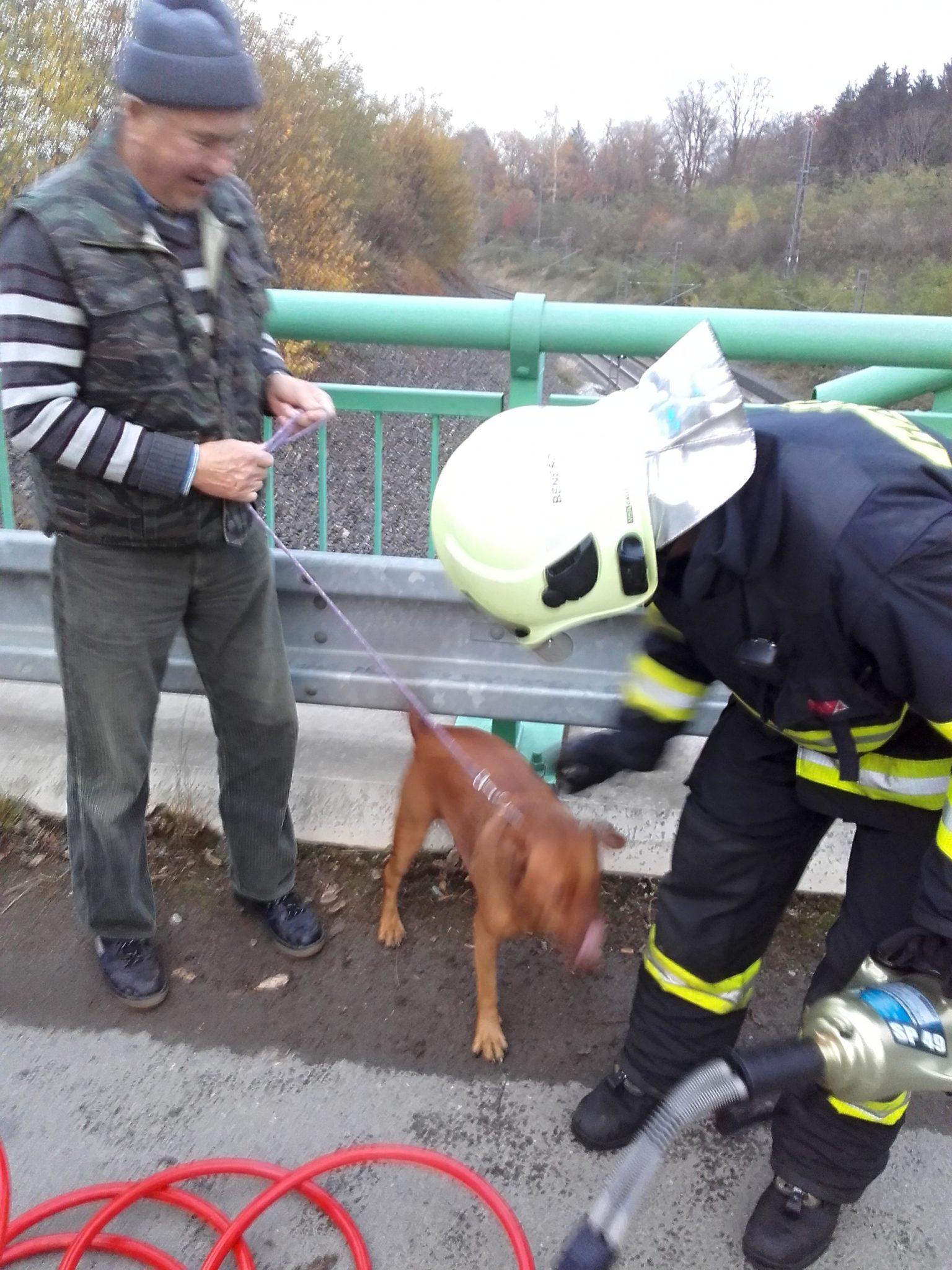 Obrázek #8 z 8