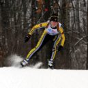 Běžkování v Brdech - skier-655549_960_720