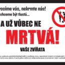 Lidská neznalost zabíjela zvířata v Kunratickém lese a v Malé Chuchli - uhynulá zvířata (3)