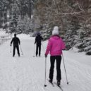 Běžkování v Brdech - winter-685942_960_720