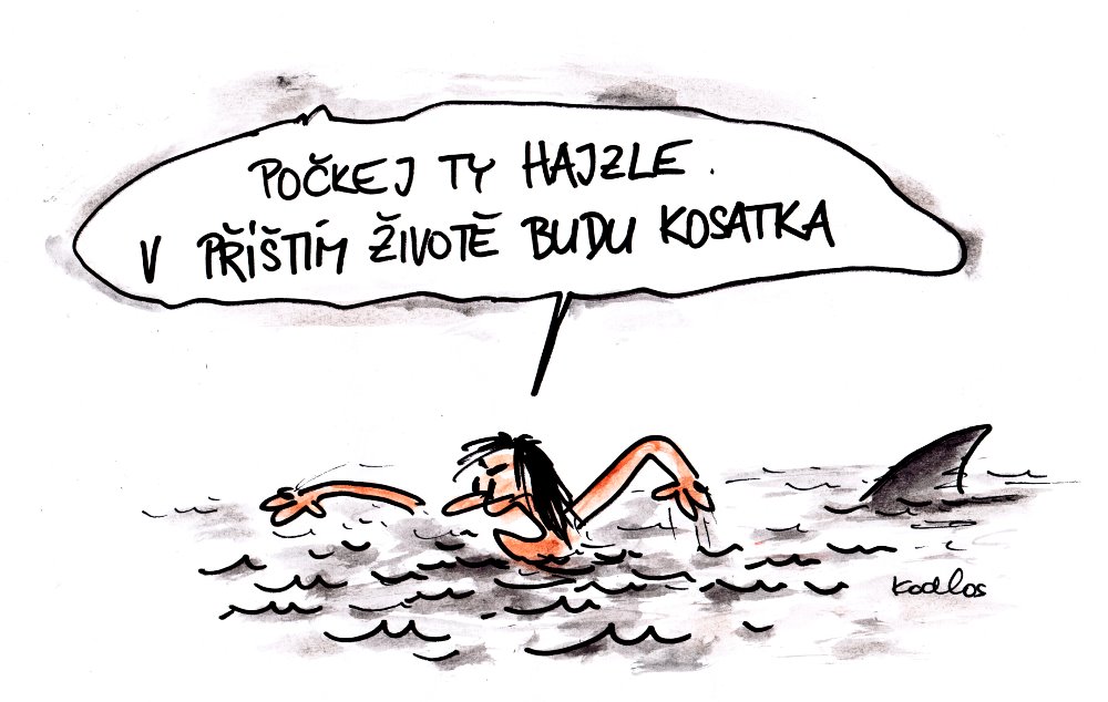 Obrázek #5 z 5