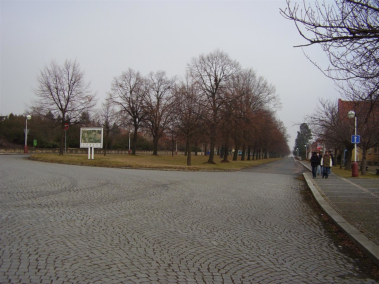 Obrázek #5 z 9