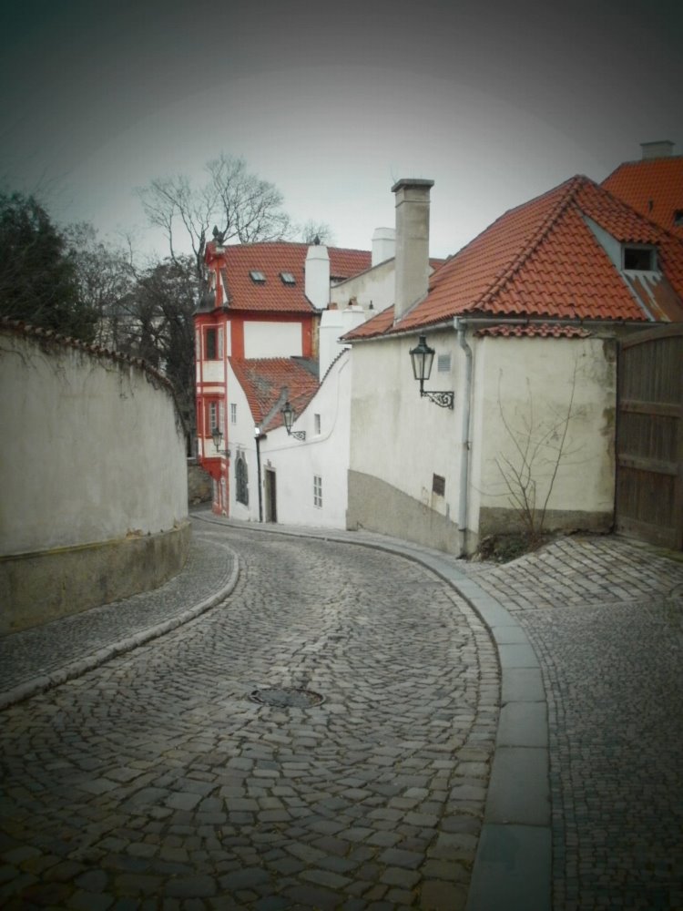 Obrázek #10 z 15