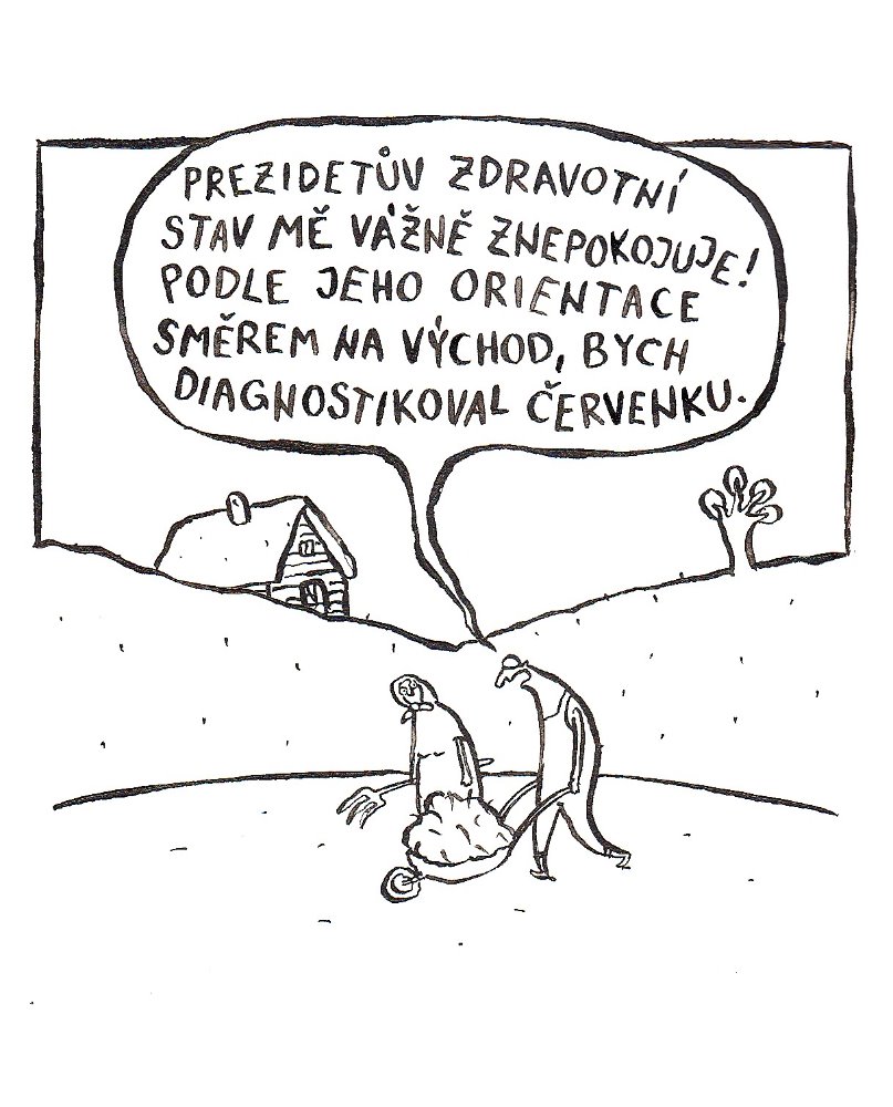 Obrázek #7 z 15