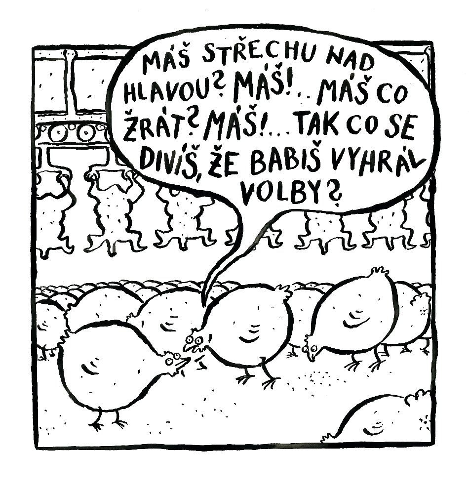 Obrázek #10 z 15