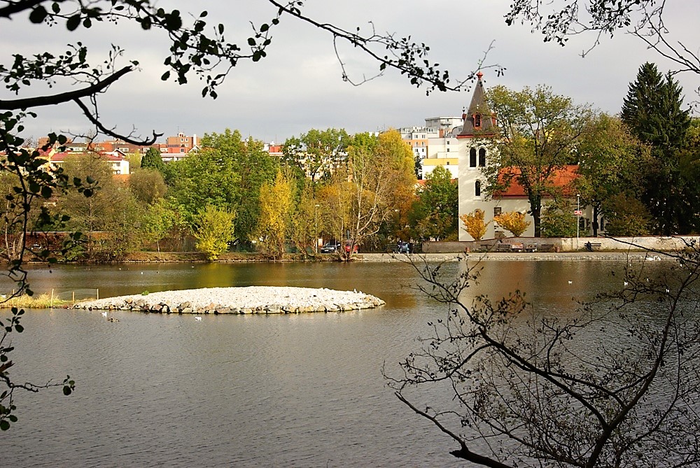 Obrázek #7 z 7