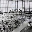 Aquapark Příbram - Aquapark Příbram