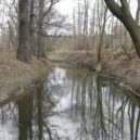 Botič - Botic