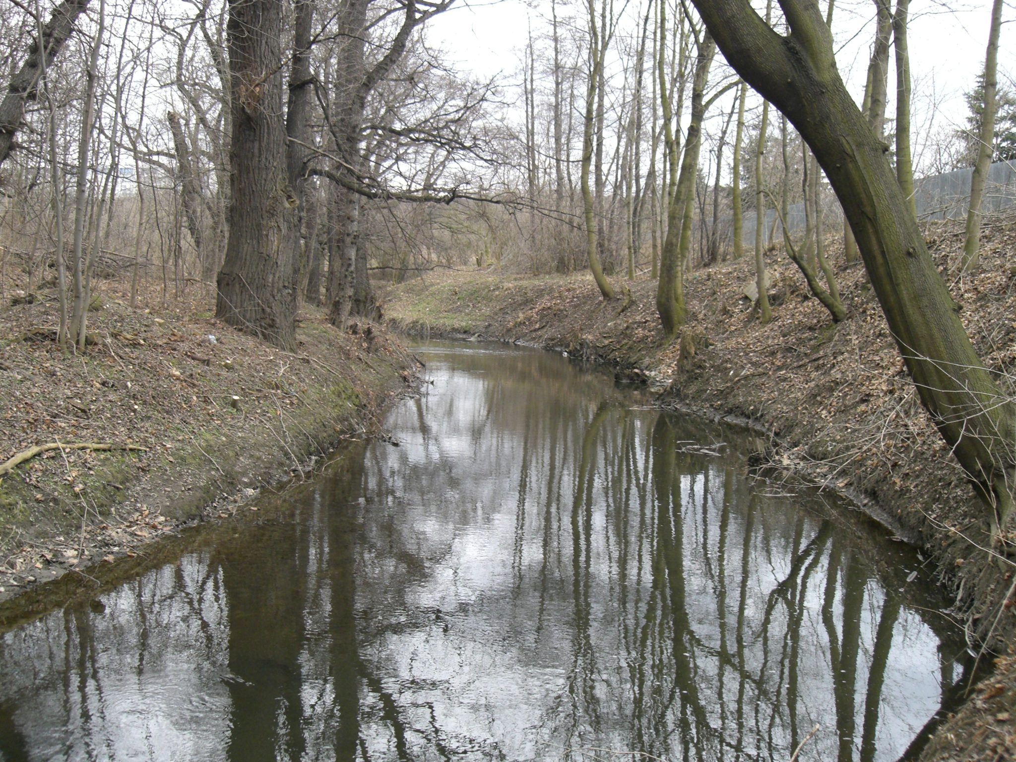 Obrázek #15 z 18
