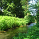 Botič - Botič-Milíčov_NP,_Prague_Křeslice