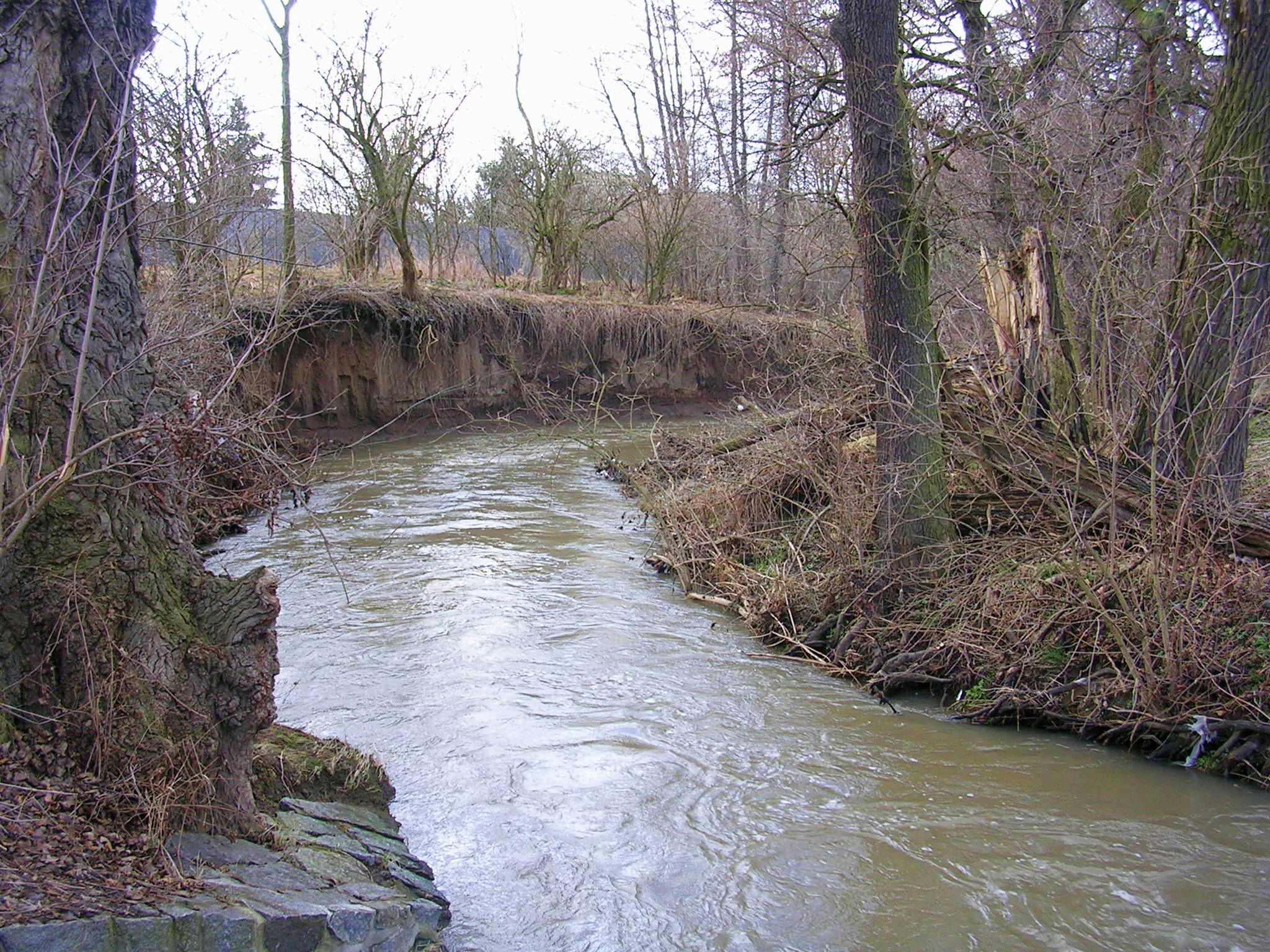 Obrázek #7 z 18