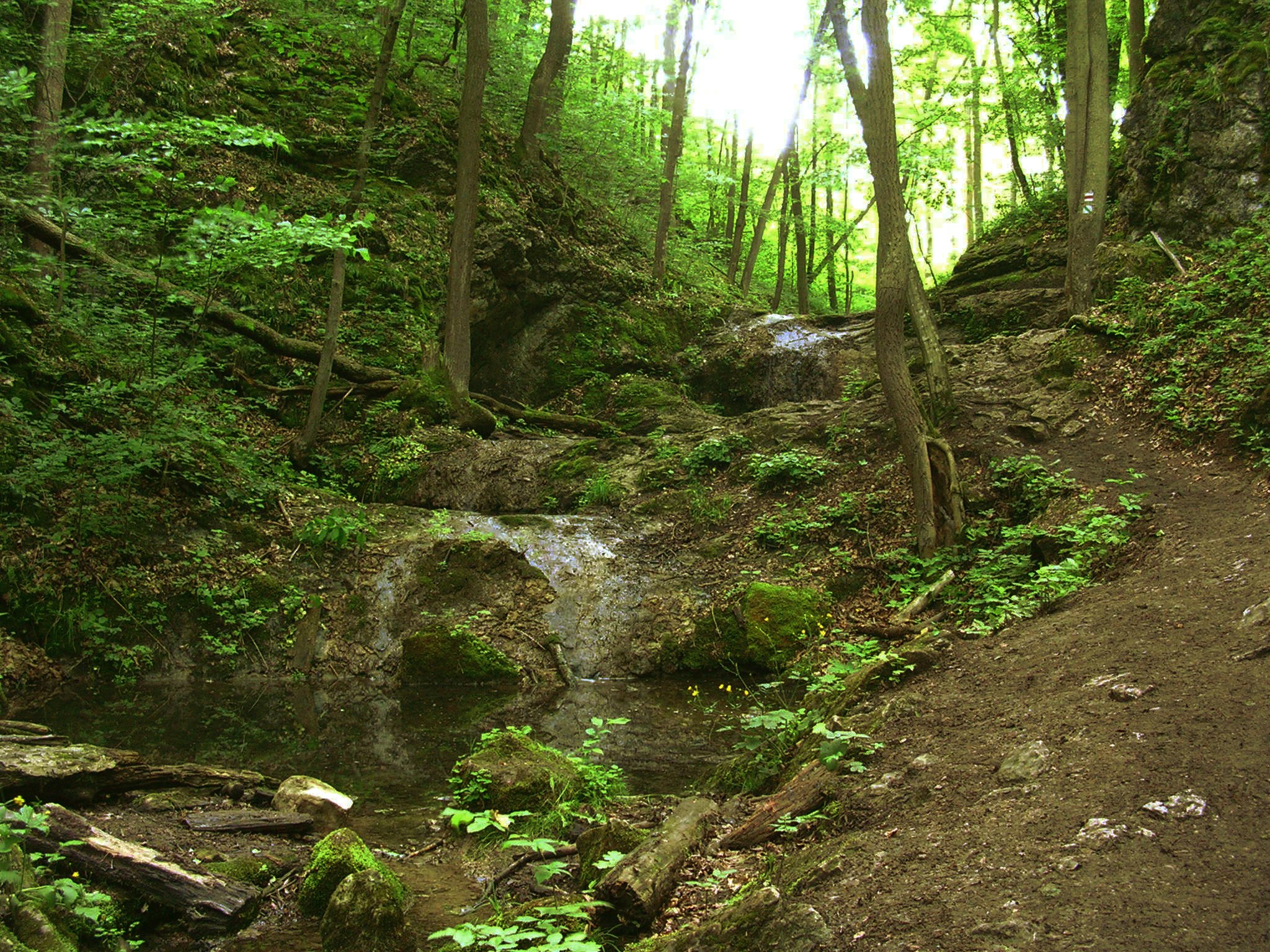 Obrázek #3 z 5