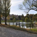 Buštěhrad – rybník - Buštěhrad, Nový rybník
