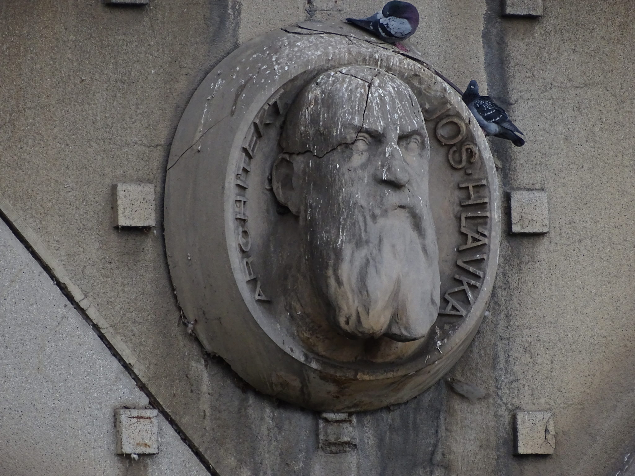 Obrázek #8 z 22