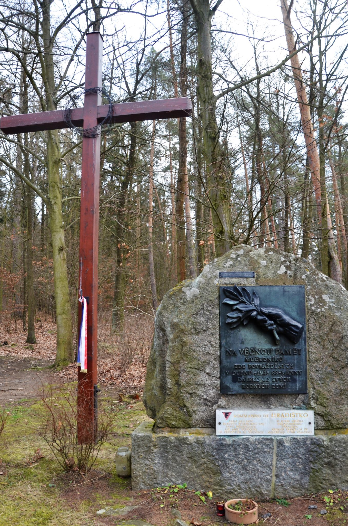 Obrázek #4 z 7