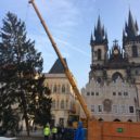 Na vánočním stromě ze Staromáku si pochutnávají zvířata v pražské zoo - Sundavání vánočního stromu na Staroměstském náměstí