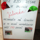 Ježci mají zimoviště v osmi pražských školách. Stará se o ně 400 dětí - Ježci ve školách 6