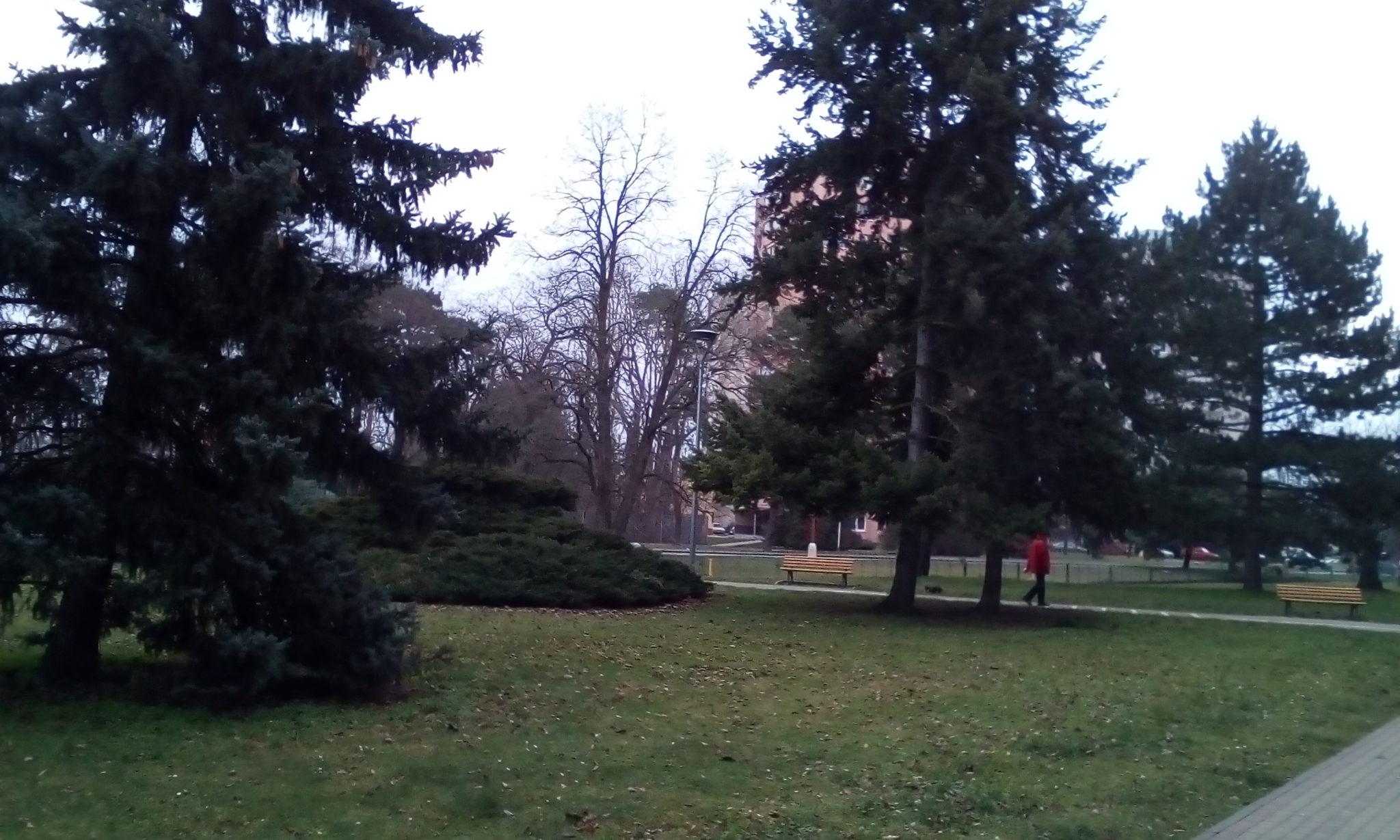 Obrázek #8 z 21