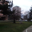 Neratovice - Parky 5 – foto AC