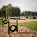 Příbram chce investovat do psího parku - Polsko: Psí park