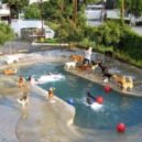 Příbram chce investovat do psího parku - Psí vodní park v Los Angeles