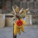 Třeboradice čeká výroční ples i schůze rybářů - Třeboradické posvícení 2015 – foto web spolku LíPa