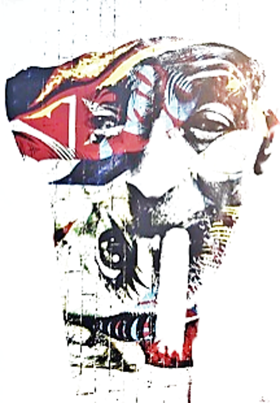 Obrázek #5 z 11