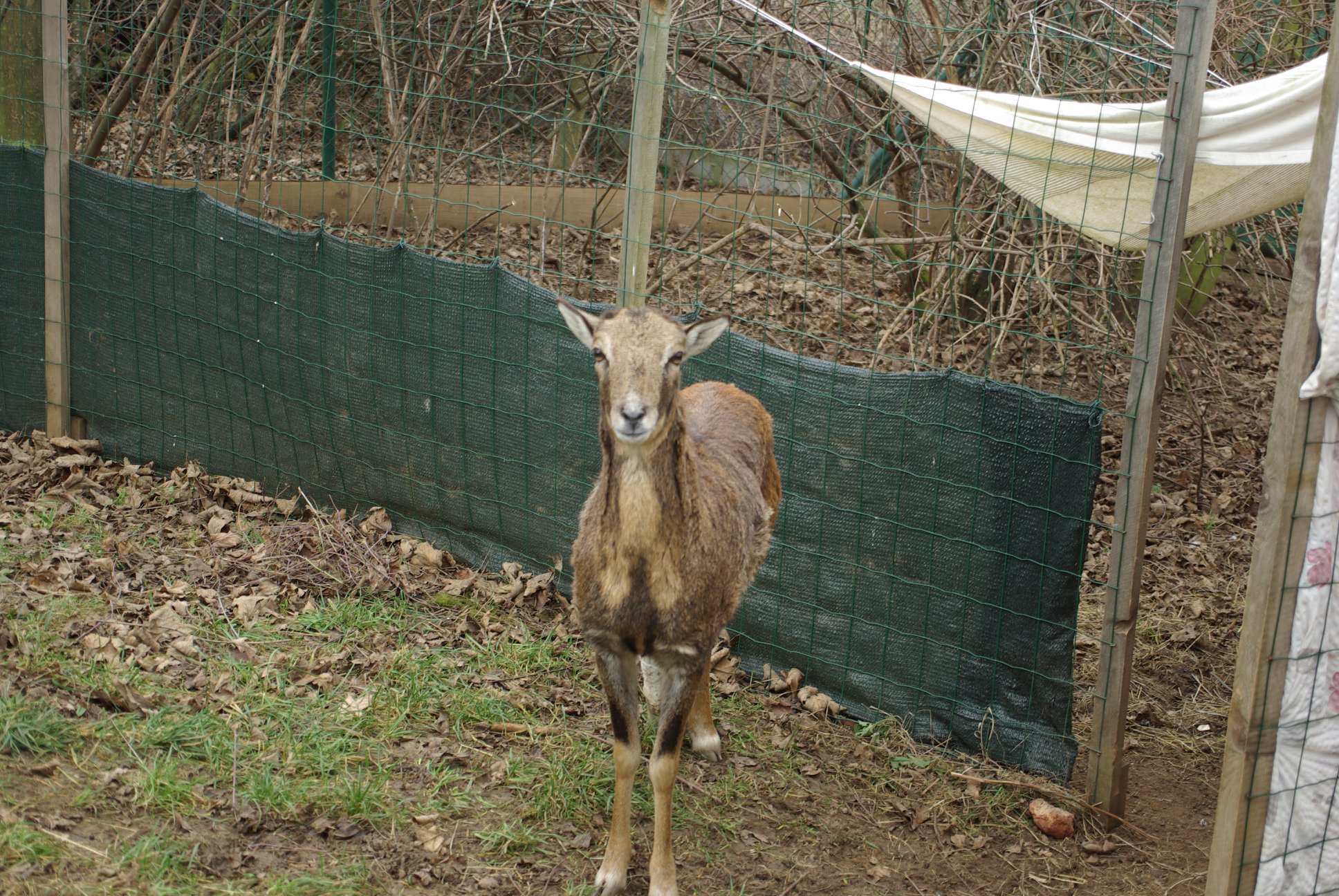 Obrázek #7 z 11