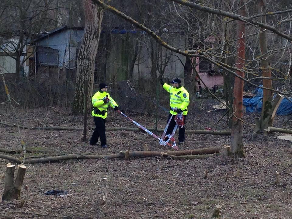 Obrázek #5 z 7
