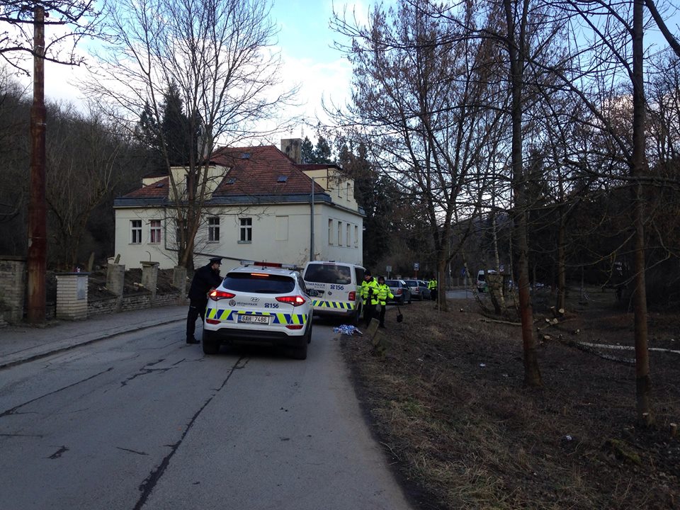 Obrázek #6 z 7
