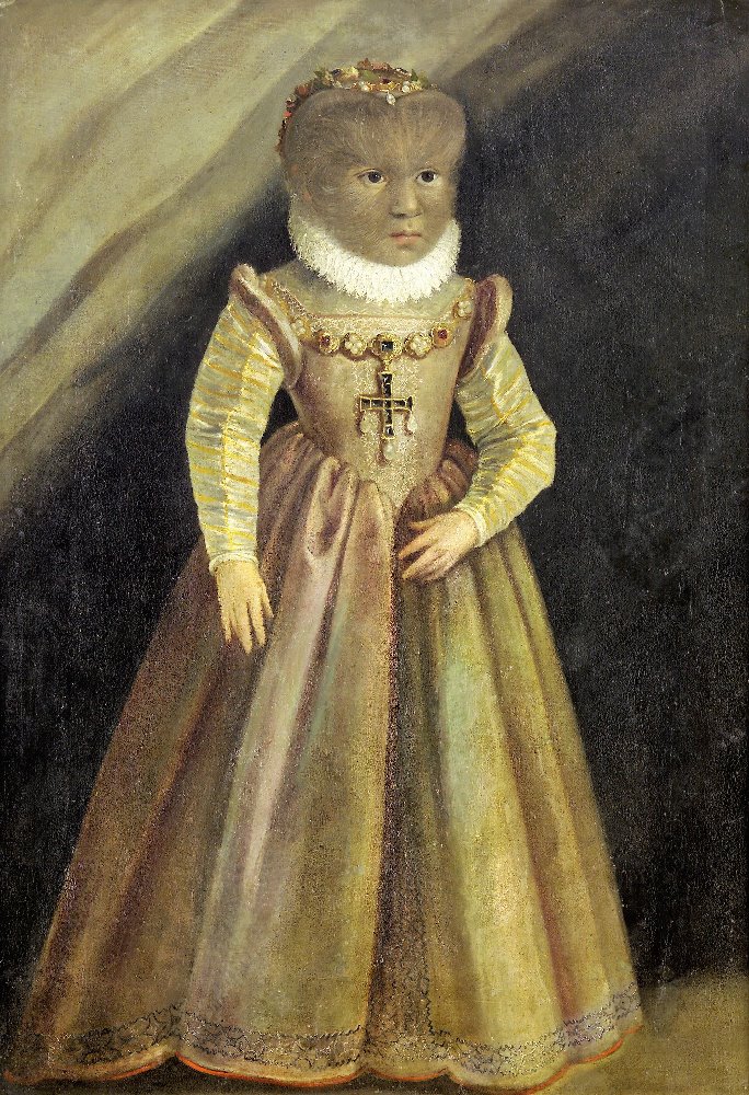 Obrázek #10 z 15