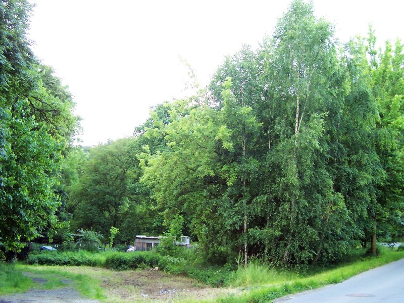 Obrázek #8 z 11