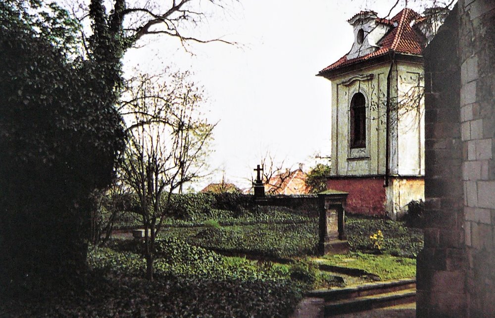 Obrázek #13 z 20