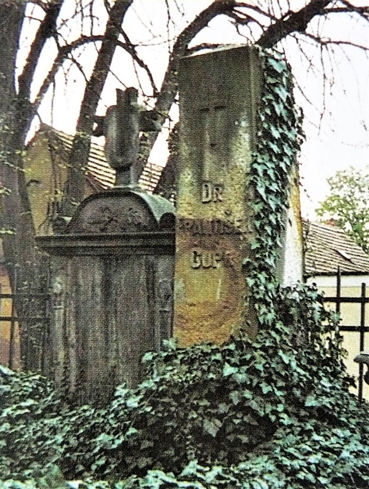 Obrázek #15 z 20