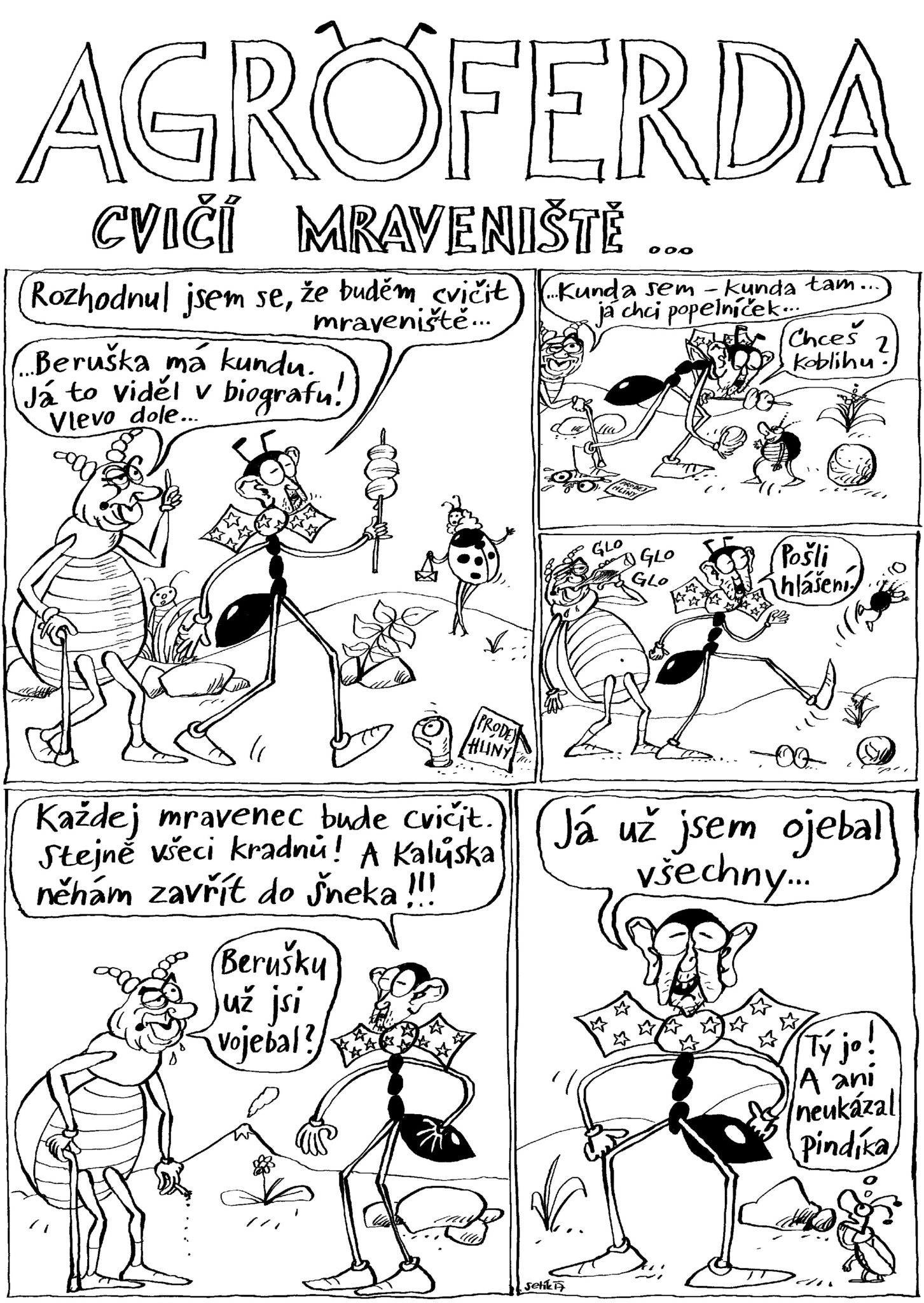 Obrázek #12 z 12