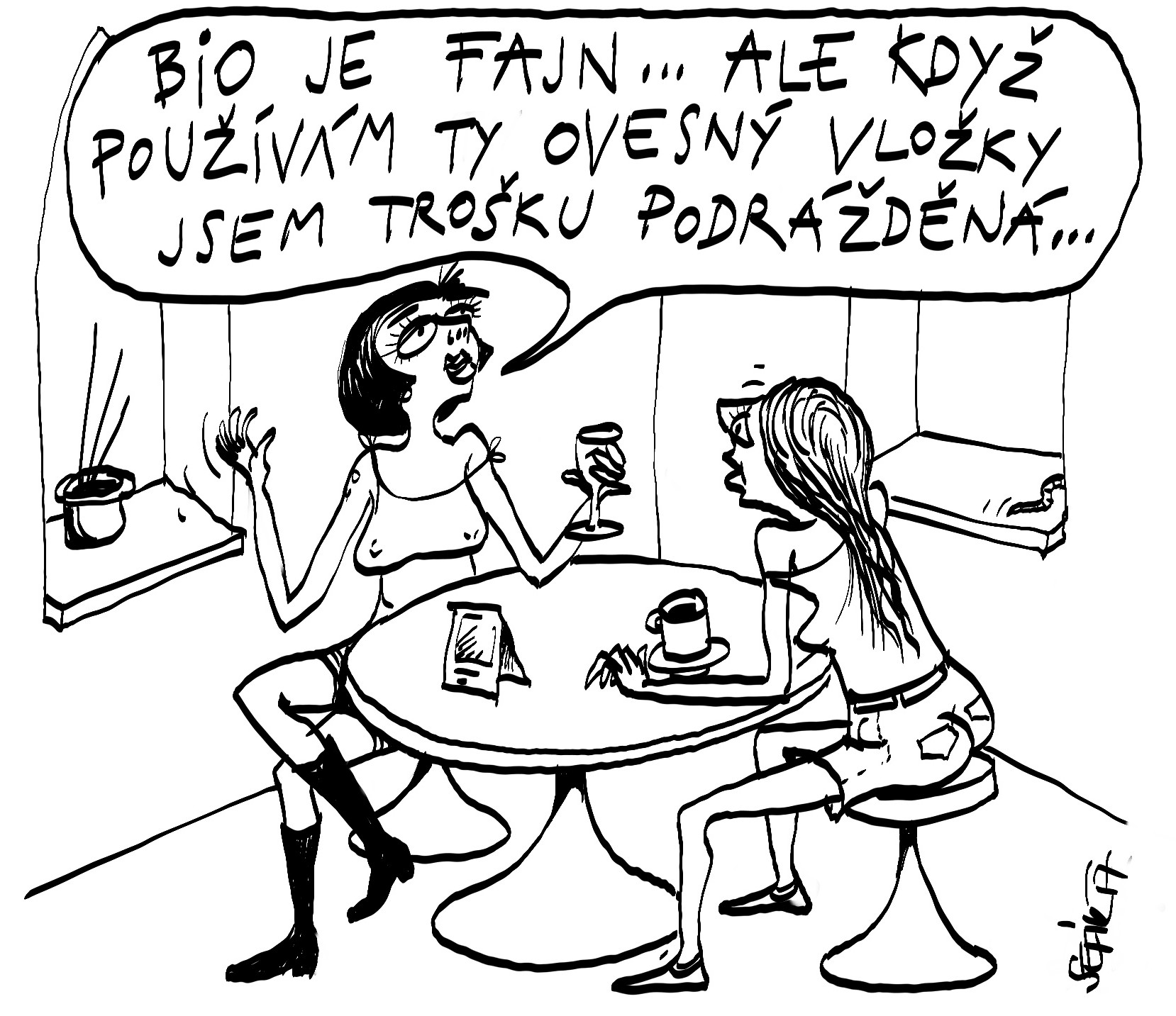 Obrázek #11 z 12