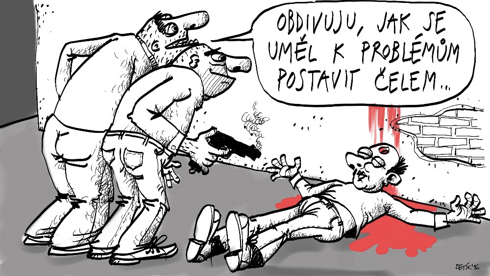 Obrázek #7 z 12
