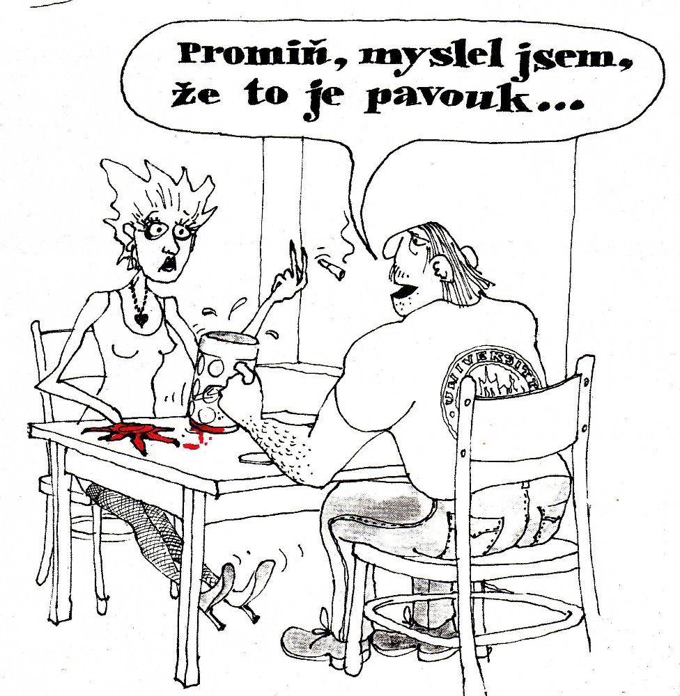 Obrázek #10 z 12