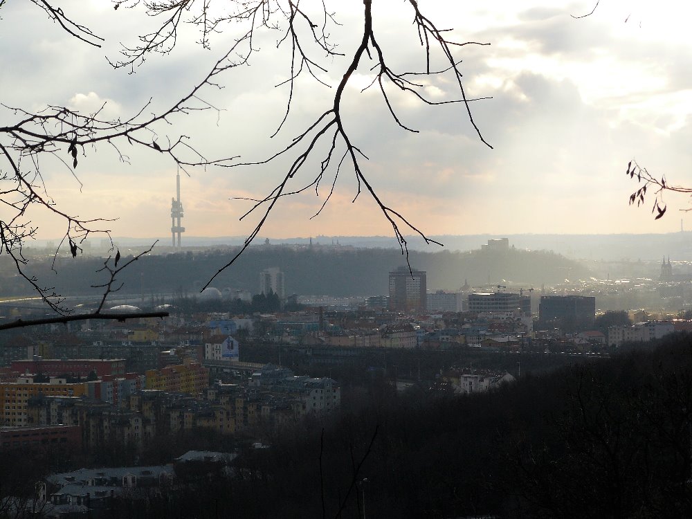 Obrázek #20 z 20