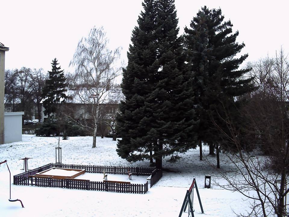 Obrázek #5 z 6