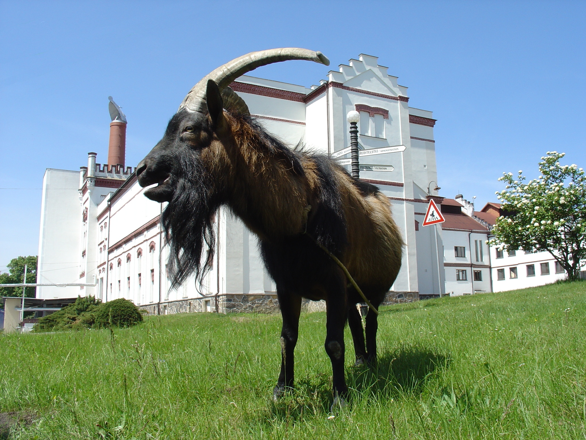 Obrázek #7 z 7